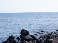 -涉地可支