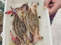 -渔码头食府(蓬莱阁店)
