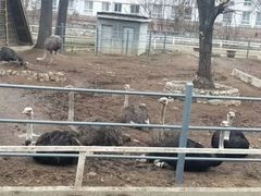 -西安秦岭野生动物园