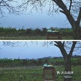 无为市竟然有这么神仙颜值的地方