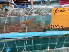 -拉威海鲜市场