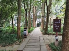 -峨眉山报国寺