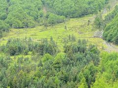 -硗碛藏寨·神木垒景区