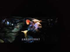 android_upload_pic-万达影城(保定万博广场激光IMAX店)
