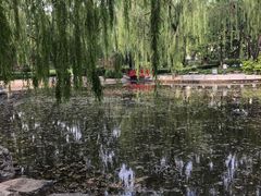 -玲珑塔公园