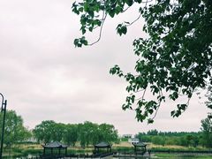 -滨河世纪广场公园