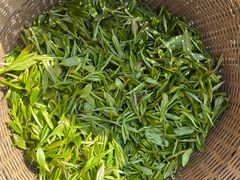 -龙坞茶村