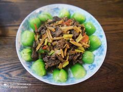 -田螺阿姨自营月嫂·育儿嫂(高新店)