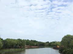 -自然谷恐龙园