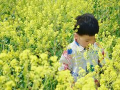 -西青郊野公园