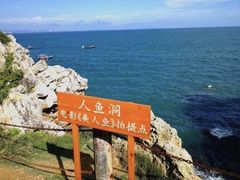 -杨梅坑