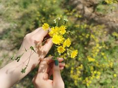 -永定河休闲森林公园