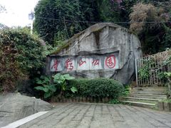 -金鸡山公园