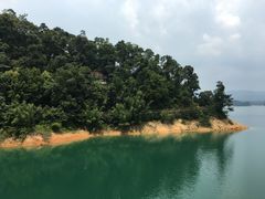 -广州市流溪河国家森林公园