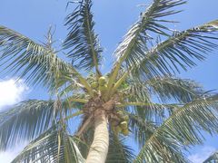-玫瑰海岸文化旅游度假区