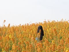 -中国天府农业博览园