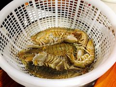 -马路边上·小海鲜烧烤(八一路店)