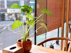 -听雨小筑茶舍(观音桥·龙湖新壹街店)