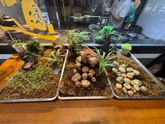 -福照楼汽锅鸡·云南菜(护国路店)
