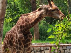 -北京野生动物园