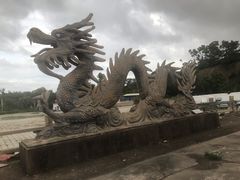 -钟叔烩鸡