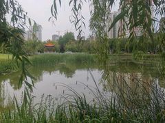 -咸阳湖景区-古渡公园