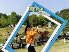 -铁山坪森林公园