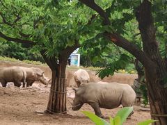 -西安秦岭野生动物园