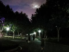 -南京奥林匹克体育中心-体育馆