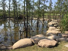 -上海长兴岛郊野公园