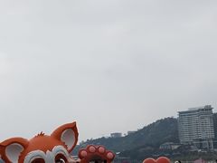 -野狸岛