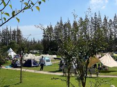 -上海长兴岛郊野公园