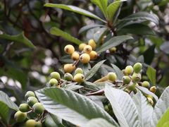 -苏州河梦清园环保主题公园