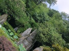 -菊花台公园