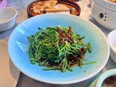 翡翠丝瓜尖-雀蓝川菜(奥体广场店)