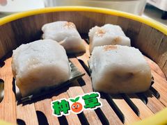 -東大方(武康千秋广场店)