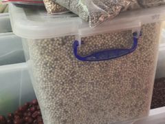 芒果-三亚新鸿港水果一级批发市场
