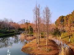 -尚贤河湿地