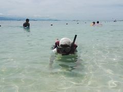-东姑阿都拉曼海洋公园