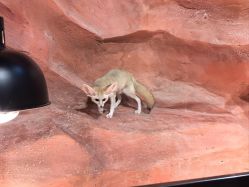 -Zoolung Zoolung动物主题公园(海信广场店)