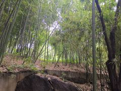 -沂蒙云瀑洞天景区