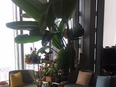 -卯时·龙光雅宴·精致锡帮菜(惠山古镇店)
