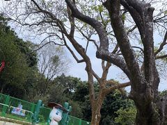 -紫马岭公园