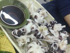 芥末海菊花-贞姨美食·老字号海鲜大排档