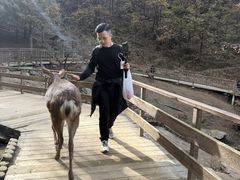 -栾川竹海野生动物园