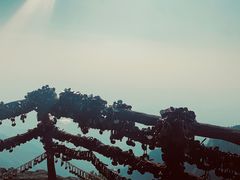 -庐山风景区花径公园