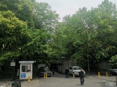 -素清香(解放路店)