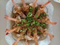 -好孕妈妈月嫂(沈河总店)