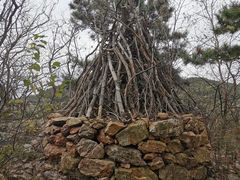 -棒棰岛宾馆景区
