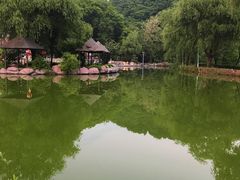 -黄椅山火山森林公园
